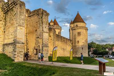Chateau de Blandy les Tours