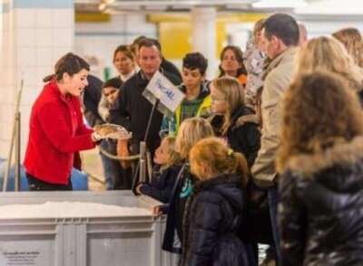 HALIOTIKA - LA CITE DE LA PECHE