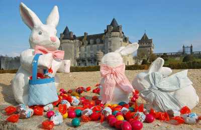 Chateau de la Roche Courbon