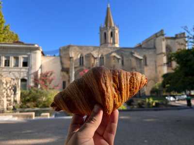 Avignon Visite Guidee du Quartier Historique Avec Degustation de Vins Et Mets
