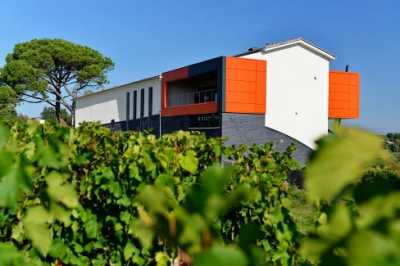 Chateau la Croizille
