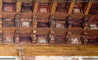 Cloitre de la Cathedrale de Frejus
