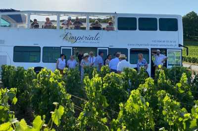 Epernay : Visite en Bus a Toit Ouvert Et Degustation de Champagne
