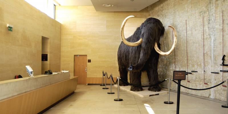 Musee National de la Prehistoire 
