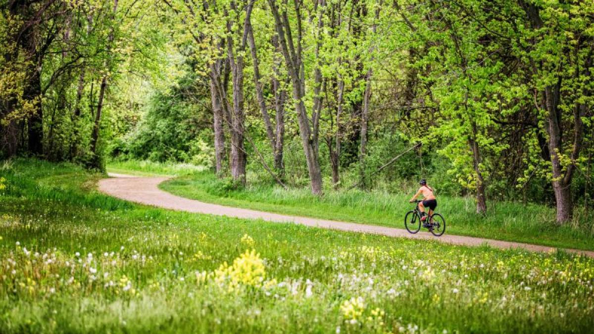 les Velos du Marais Poitevin