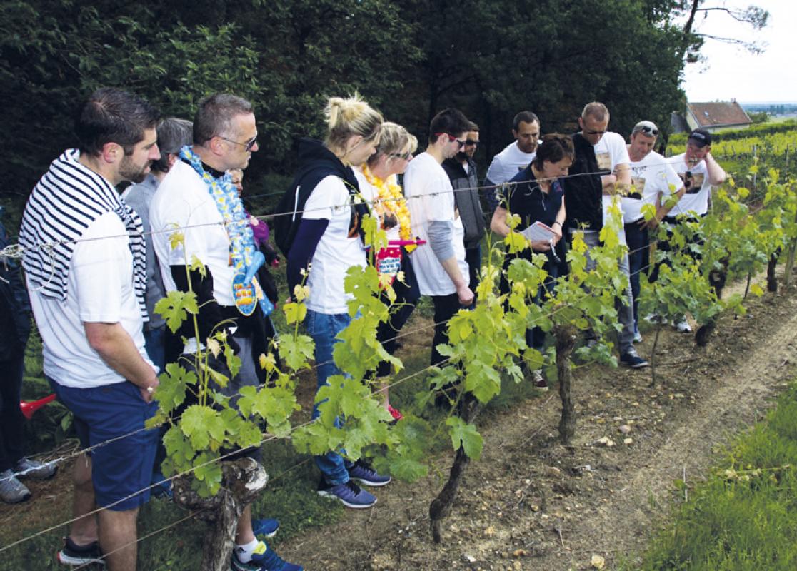 Moments Oenoludiques