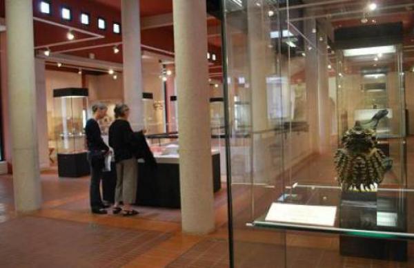 Musee d'Archeologie de Cimiez