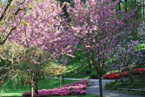 Parc Oriental de Maulevrier