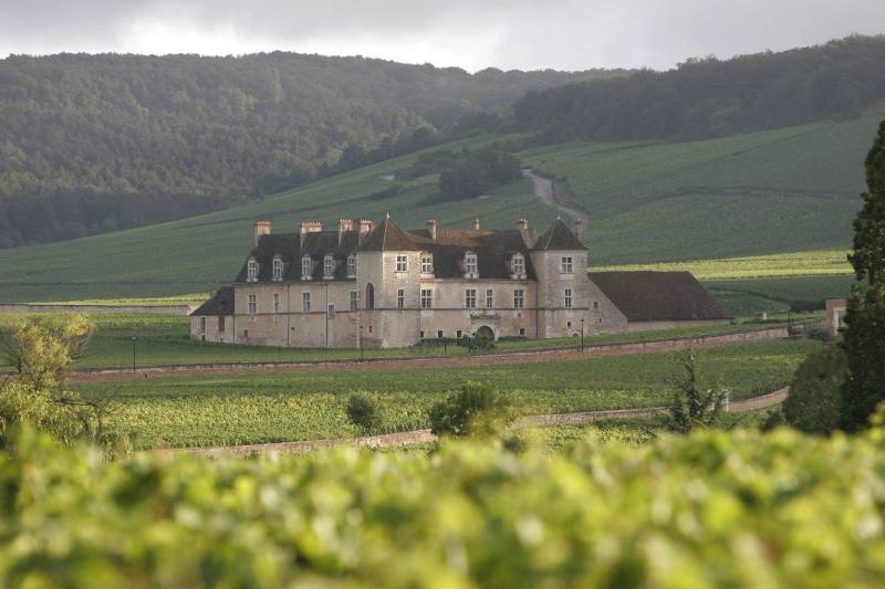 CHATEAU DU CLOS DE VOUGEOT